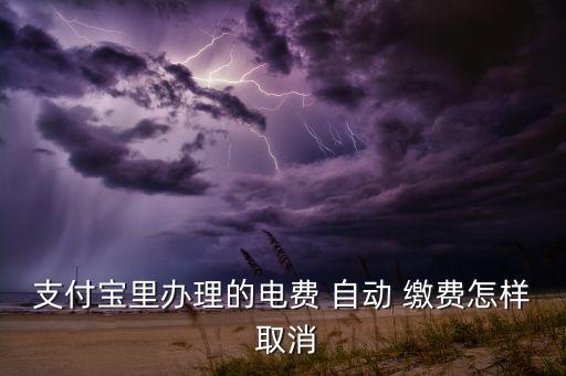 支付寶里辦理的電費(fèi) 自動 繳費(fèi)怎樣 取消
