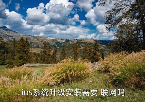  ios系統(tǒng)升級(jí)安裝需要 聯(lián)網(wǎng)嗎