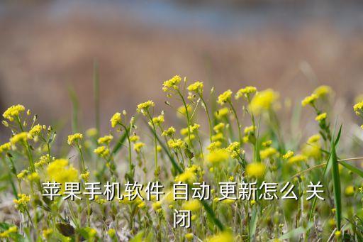 蘋果關(guān)閉更新自動下載,蘋果設(shè)置自動更新應(yīng)用為關(guān)閉狀態(tài)