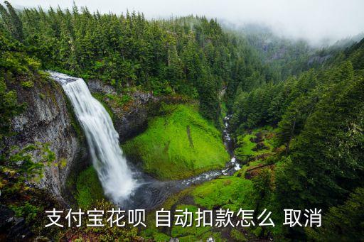 支付寶取消自動(dòng)還款,支付寶如何取消自動(dòng)還款?