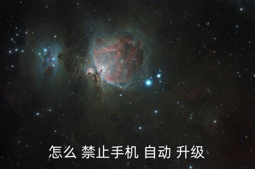 怎么 禁止手機(jī) 自動(dòng) 升級(jí)
