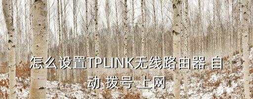 網(wǎng)關(guān)自動(dòng)撥號(hào)方式上網(wǎng),設(shè)置無(wú)線(xiàn)路由器網(wǎng)關(guān)步驟