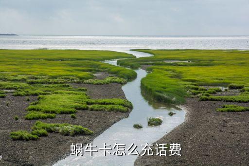  蝸牛卡怎么充話費(fèi)