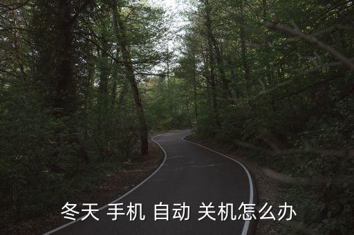  冬天 手機 自動 關(guān)機怎么辦