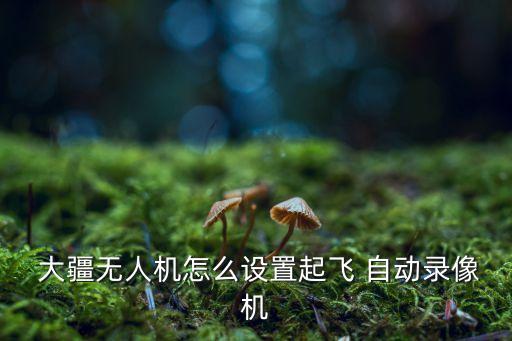 大疆御取消自動(dòng)返航,dji系列飛機(jī)均帶有自動(dòng)返航返航功能