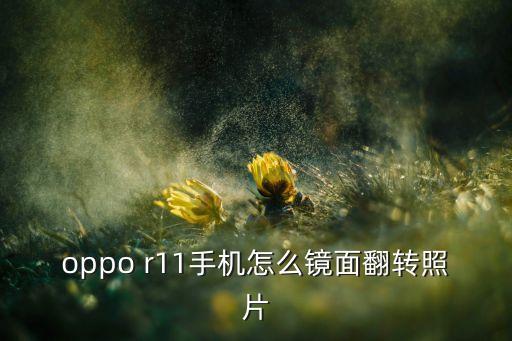 oppo r11手機怎么鏡面翻轉照片