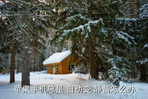 蘋果6sp靜音后自動切換