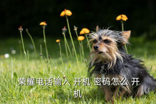  榮耀電話輸入 開機(jī) 密碼怎么 開機(jī)