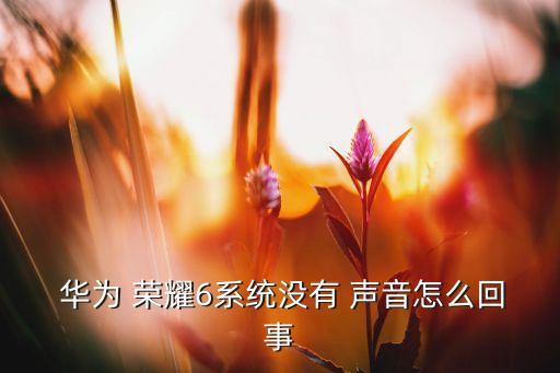 華為榮耀6自動關(guān)閉聲音,華為榮耀6系統(tǒng)沒有聲音如何解決?