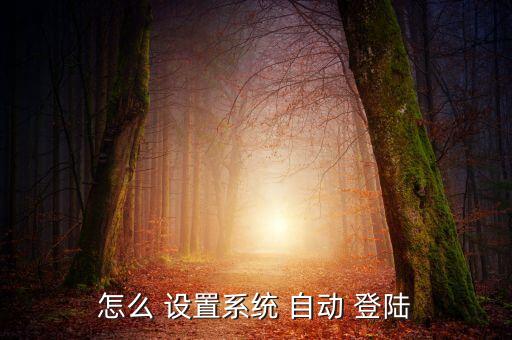 如何設置自動登陸,點擊工具-互聯(lián)網(wǎng)選項即可進入瀏覽器