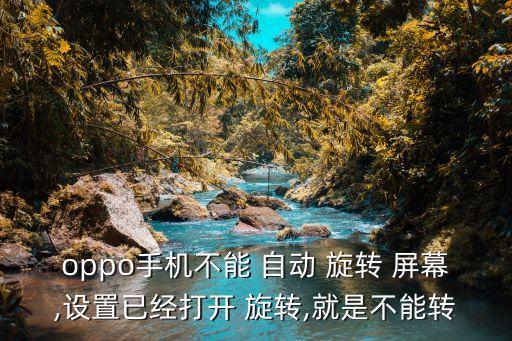 黑莓priv屏幕不能自動(dòng)旋轉(zhuǎn)