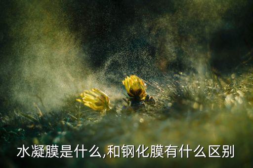 自動修復(fù)膜是什么,液壓膜和鋼化膜哪個好?眼鏡知多少?