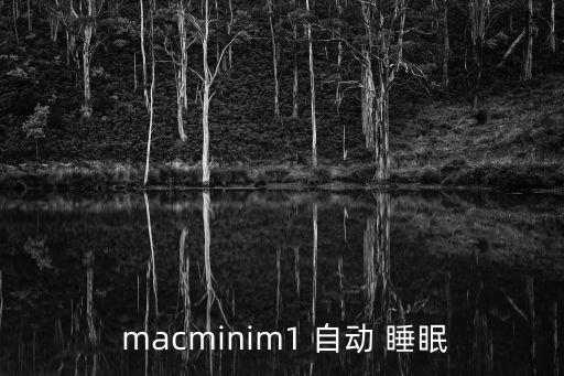 mac 睡眠 自動(dòng)亮