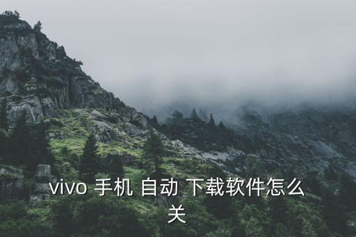 手機(jī)自動(dòng)下載應(yīng)用,點(diǎn)擊權(quán)限找到關(guān)閉不明來(lái)源應(yīng)用