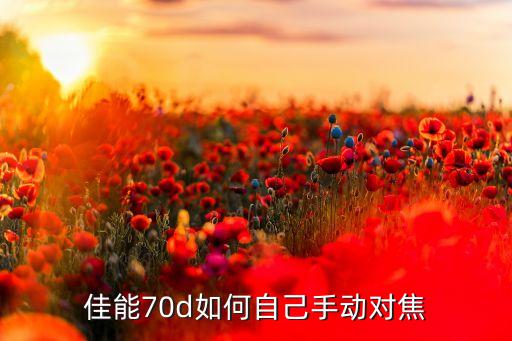 佳能70d如何自己手動(dòng)對(duì)焦