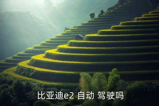 比亞迪 自動(dòng)駕駛,比亞di自動(dòng)駕駛技術(shù)樹將解鎖更多新功能