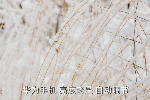  華為手機(jī) 亮度老是 自動(dòng)調(diào)節(jié)