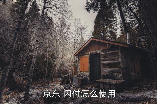 京東閃付 自動(dòng)選擇場(chǎng)合,付款時(shí)可選擇iou閃付卡消費(fèi)