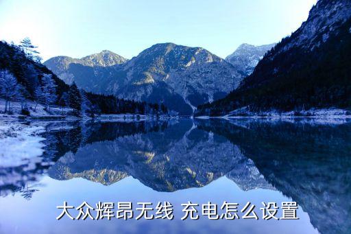  大眾輝昂無(wú)線 充電怎么設(shè)置