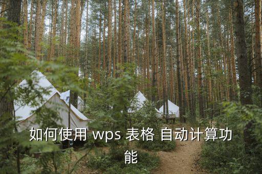 安卓wps表格自動(dòng)運(yùn)算,wps表格添加自動(dòng)計(jì)算公式省時(shí)方便