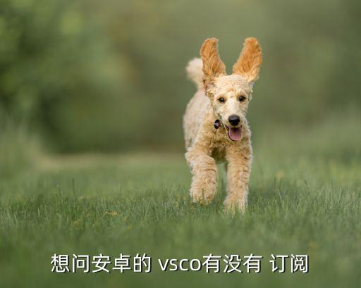 vsco訂閱自動(dòng)扣費(fèi),關(guān)閉自動(dòng)續(xù)費(fèi)功能如何管理手機(jī)應(yīng)用?