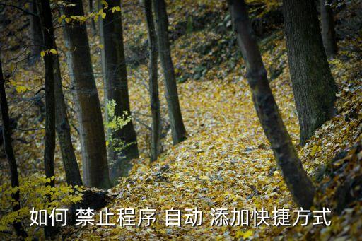 如何 禁止程序 自動 添加快捷方式