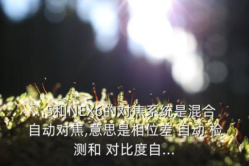 ...5和NEX6的對焦系統(tǒng)是混合 自動對焦,意思是相位差 自動 檢測和 對比度自...