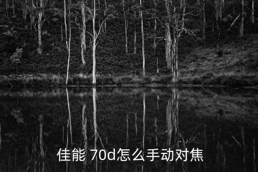 佳能70d自動(dòng)對(duì)焦af,數(shù)碼相機(jī)時(shí)代自動(dòng)對(duì)焦功能依舊有效