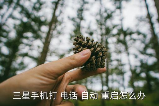 三星手機(jī)打 電話 自動(dòng) 重啟怎么辦