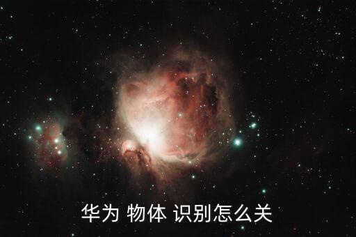 物體自動識別芯片,華為手機自帶相機還可拍攝-2識別