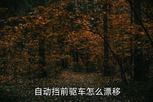 自動(dòng)擋飄逸,汽車技巧與竅門