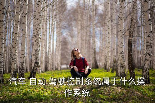 汽車 自動 駕駛控制系統(tǒng)屬于什么操作系統(tǒng)