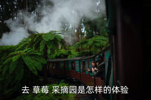 草莓自動采摘機(jī)圖片,第二季草莓和第一季-0之間不要馬上吃
