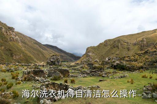  海爾洗衣機(jī)得自清潔怎么操作