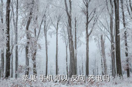 手機自動反向充電嗎,手機支持otg基本上支持反向充電