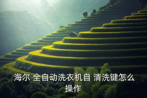  海爾 全自動(dòng)洗衣機(jī)自 清洗鍵怎么操作