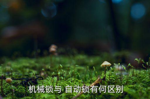 機(jī)械數(shù)碼自動(dòng)鎖在哪買,6.機(jī)械鎖安全可靠性高可靠度高