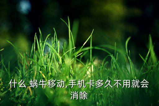 蝸牛移動(dòng)  自動(dòng)銷戶,中國(guó)移動(dòng)推出蝸牛大王卡三個(gè)月不花錢