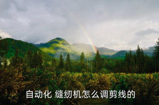 t恤自動(dòng)縫紉機(jī),如何挑選自動(dòng)華縫紉機(jī)?