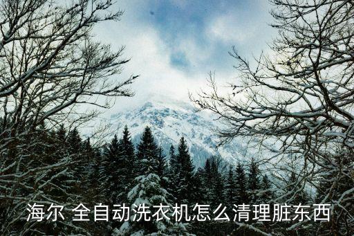  海爾 全自動(dòng)洗衣機(jī)怎么清理臟東西