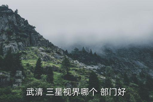 三星自動化部門,武清三星vision是一家大型公司