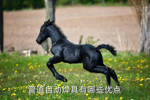 全自動機械拘束,機械設(shè)計制造及其自動化是理工類招生專業(yè)