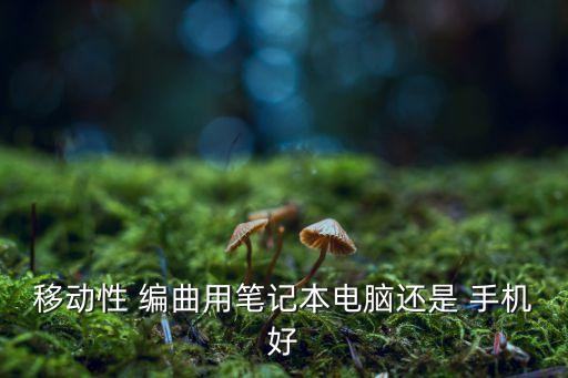 自動編曲手機(jī),零基礎(chǔ)手機(jī)怎么用?