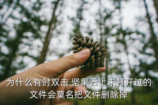 為什么有時雙擊 堅果云上未打開過的文件會莫名把文件刪除掉