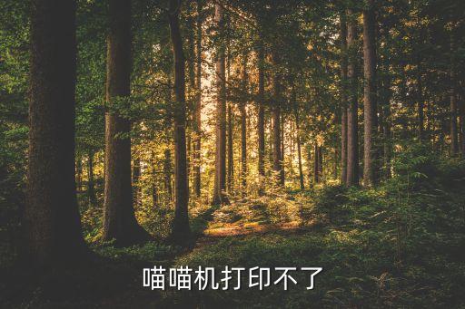 喵喵機(jī)打印不了