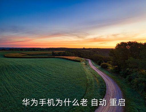  華為手機(jī)為什么老 自動(dòng) 重啟