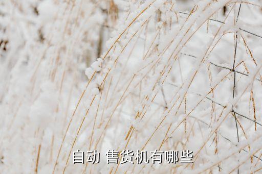 十大自動(dòng)售貨機(jī),自動(dòng)售貨機(jī)要選哪種?
