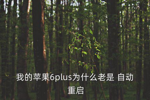 我的蘋(píng)果6plus為什么老是 自動(dòng) 重啟