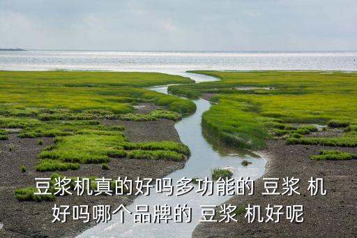  豆?jié){機(jī)真的好嗎多功能的 豆?jié){ 機(jī)好嗎哪個(gè)品牌的 豆?jié){ 機(jī)好呢