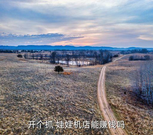 自動(dòng)娃娃機(jī)器掙錢(qián)嗎,娃娃機(jī)生意比較旺盛但價(jià)格比較低